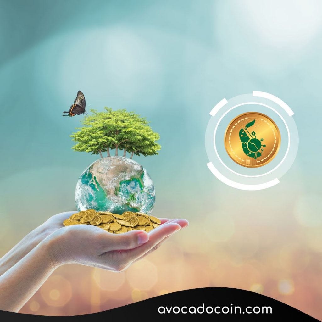 AvocadoCoin: una revolución verde en el mundo de las criptomonedas
